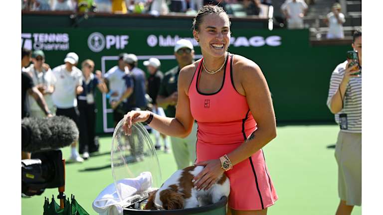 The melted ice was a perfect drinking opportunity for the Cavalier King Charles Spaniel.