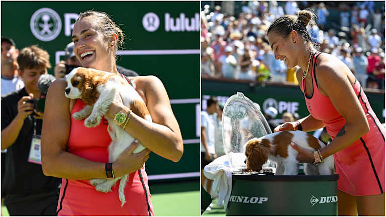 Sabalenka helped puppy Ash cool off with a courtside ice bath.